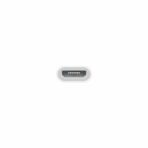 Adattatore Micro USB con Lightning Apple MD820ZM/A