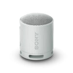 Altoparlante Bluetooth Portatile Sony SRSXB100H.CE7 Grigio